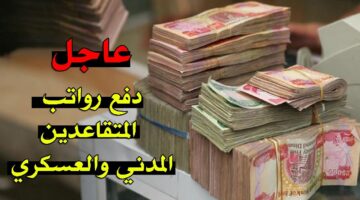 موعد صرف رواتب المتقاعدين في السعودية.. طريقة الاستعلام عبر موقع التأمينات الاجتماعية www.nosi.gov.eg