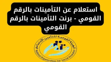 الاستعلام عن التأمينات الاجتماعية بالرقم القومي..اعرف الخطوات عبر www.nosi.gov.eg