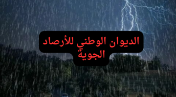 الديوان الوطني للأرصاد الجوية يحذر من أمطار رعدية بهذه الولايات وحقيقة تعطيل دوام الموظفين والطلاب الأحد