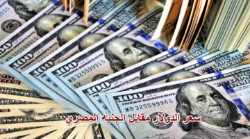 سعر الدولار مقابل الجنيه المصري اليوم الجمعة 8 نوفمبر 2024