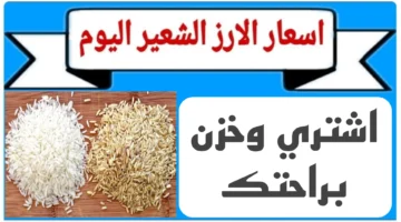 “وصول الطن 14,500 جنيه النهاردة” .. إليك أسعار أنواع كافة حبوب أرز الشعير والأبيض اليوم الإثنين في مصر 4 نوفمبر 2024