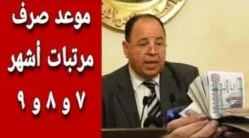 المالية المصرية تعلنُ موعد صرف مرتبات شهر نوفمبر 2024 وجدول الحد الادني للاجور وصرف الزيادة بأثر راجعي بنسبة 50%