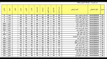 رابط الاستعلام عن نتائج السادس الاعدادي 2024 الدور الثالث من خلال موقع وزارة التربية والتعليم العراقية