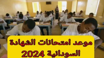 “التعليم تُوضح” موعد امتحانات الشهادة السودانية 2024-2025 وخطوات التسجيل لاداء الامتحانات عبر موقع وزارة التربية والتعليم mohe.gov.sd