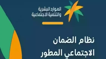 أعرف حالتك | صدور نتائج أهلية الضمان الاجتماعي دورة يناير 2025.. الموارد البشرية تعلن