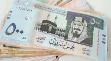 للمغتربين: ارتفاع سعر صرف الريال السعودي امام الجنيه المصري في البنوك والسوق السوداء الأحد 29 ديسمبر 2024