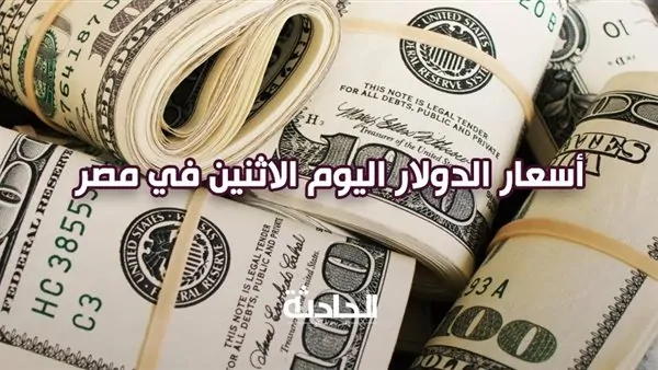 «الأخضر مستقر».. سعر الدولار اليوم الإثنين 13 يناير 2025 في مصر