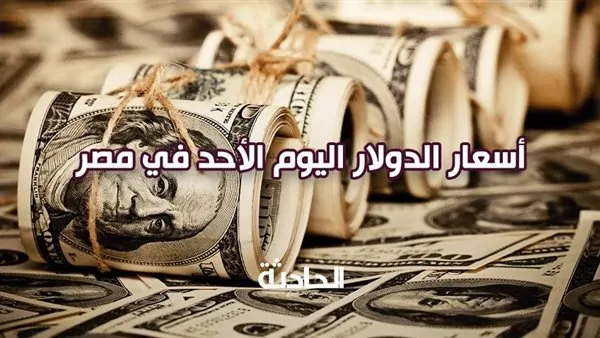 سعر الدولار اليوم الأحد في مصر .. بـ 50.35 جنيه للشراء