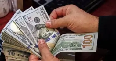 سعر الدولار الإثنين 20 -1- 2025 فى البنوك المصرية.. بداية التعاملات