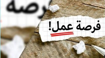 فرصة ذهبية اوعي تفوتك :  فرص عمل شاغرة  في 35 شركة تنتظرك بـ 8 محافظات مصرية وزارة العمل تعلن الشروط المؤهلات المطلوبة “جهز أوراقك”