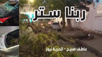 كارثة طقس البحيرة.. تحطم سيارتين سقطت عليهما شجرة ضخمة في دمنهور.. وبأمر المحافظ كله في الشارع